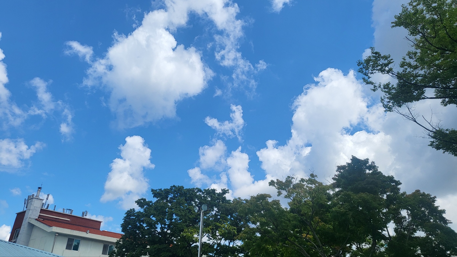 KakaoTalk_20230828_110518979_17.jpg