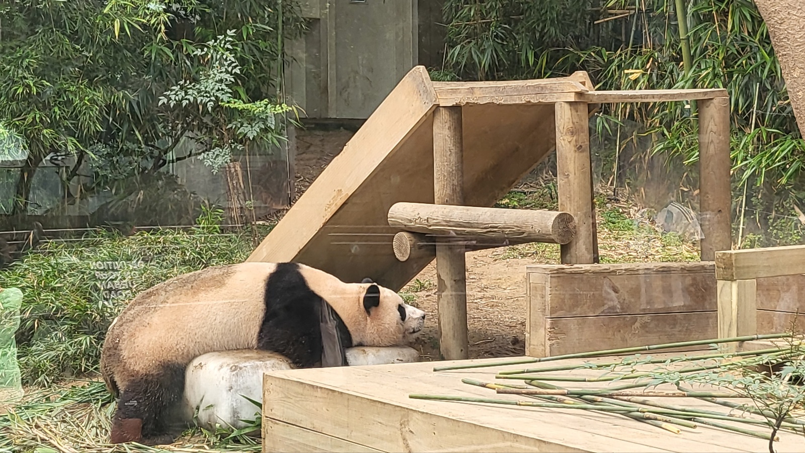KakaoTalk_20230904_094242053_08.jpg